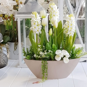 Kompozycja wiosenna Helenia hiacynty tulipany w donicy