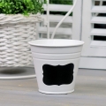 IMG_4056.JPG