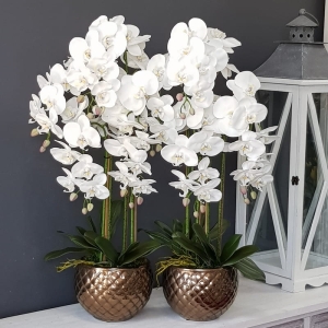 Storczyk sztuczny orchidea silikon biały