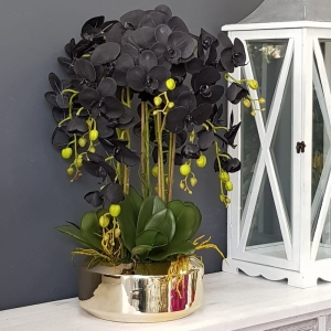 Czarny storczyk sztuczny black orchidea Eva gold