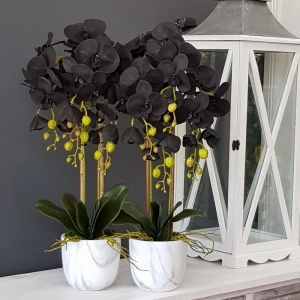 Czarny storczyk sztuczny black orchidea Marble M