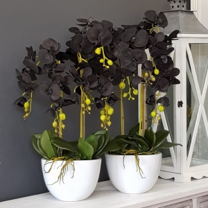 Czarny storczyk sztuczny black orchidea Lilia 