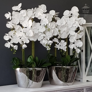 Sztuczny storczyk orchidea silikon biały Sonia silver