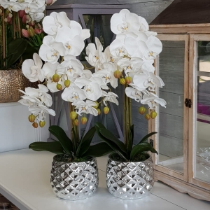 Sztuczny storczyk orchidea silikon biały Mika silver