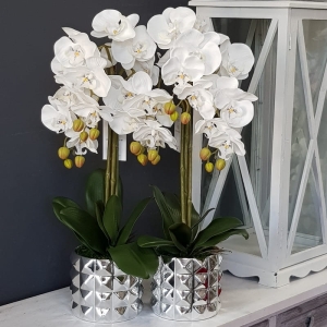 Sztuczny storczyk orchidea silikon biały Nadia silver