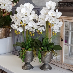 Storczyk sztuczny orchidea silikonowa puchar Passo