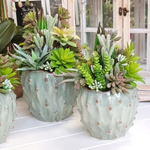 Sukulenty kaktusy donica green L
