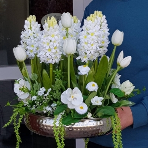 Kompozycja Victoria na tacy silver hiacynty tulipan białe XL 