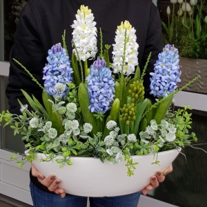 Kompozycja wiosenna hiacynty Xaria blue XL