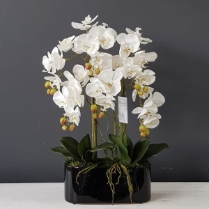 Storczyk sztuczny orchidea silikon dekoracja Irma black 