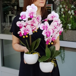 Storczyk sztuczny orchidea silikon dekoracja Hola pink
