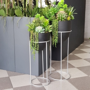 Sukulenty kaktusy kompozycja donica stojak kwietnik Elvira czarna silver L 90cm