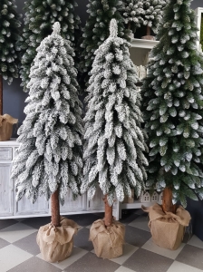 Choinka na pniu ośnieżona drzewko polski producent Tatra 180 cm wycinka