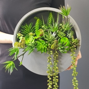 Sukulenty kaktusy kompozycja donica ścienna Esther Szara S 30cm A