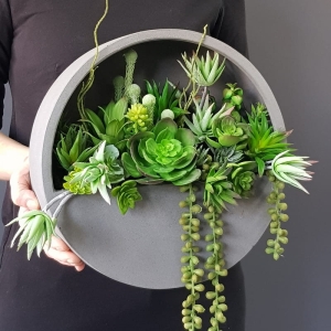 Sukulenty kaktusy kompozycja donica ścienna Esther Szara S 30cm B