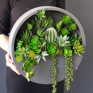 Sukulenty kaktusy kompozycja donica ścienna Esther Szara M 40cm