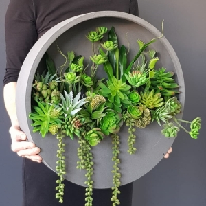 Sukulenty kaktusy kompozycja donica ścienna Esther Szara L 50cm 