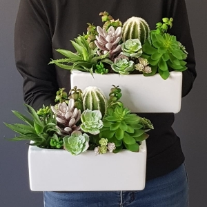 Sukulenty kaktusy donica podłużna Grace biała A 26cm