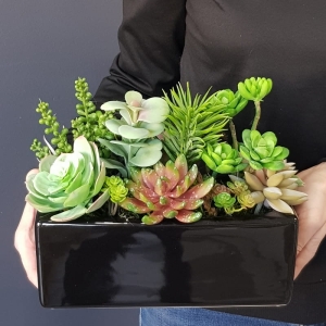 Sukulenty kaktusy donica podłużna Grace czarna A 26cm