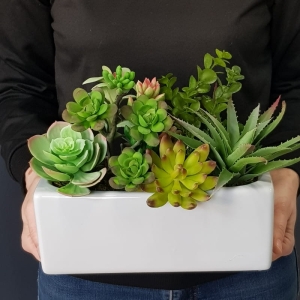 Sukulenty kaktusy donica podłużna Grace biała B 26cm