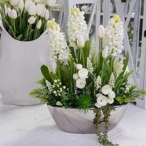 Hiacynt tulipan biały kompozycja Jaga doniczka silver