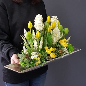 Kompozycja Estera hiacynty tulipany żółte  XL 62cm