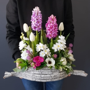 Wiosenna kompozycja ogródek donica z kory Stella new 50cm