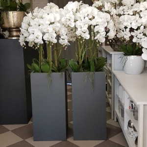 Kompozycja biały storczyk donica szara LIVIA orchidea 