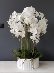 Kompozycja w donicy storczyk silikon Maria glamour white