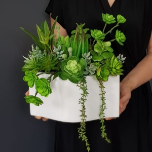 Sukulenty kaktusy donica podłużna Nevada L