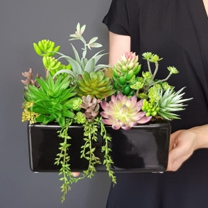 Sukulenty kaktusy donica podłużna Grace czarna 26cm wz.1