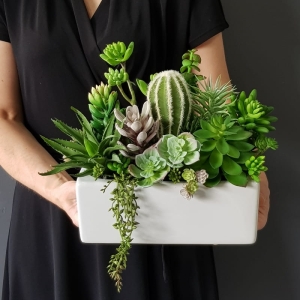 Sukulenty kaktusy donica podłużna Grace biała 26cm wz.2