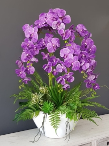 Storczyk orchidea donica Veronica XXL biała błysk storczyk fioletowy