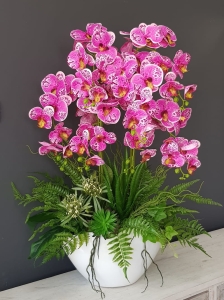 Storczyk orchidea donica Veronica XXL biała błysk storczyk różowy