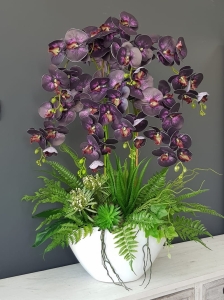 Storczyk orchidea donica Veronica XXL biała błysk storczyk śliwkowy fiolet