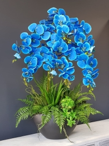 Storczyk orchidea donica Veronica XXL grafit mat storczyk niebieski