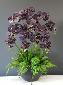 Storczyk orchidea donica Veronica XXL grafit mat storczyk śliwkowy fiolet