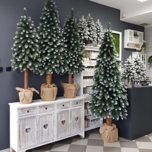 Choinka na pniu drzewko sosna Polski Producent Pinus glitter 180cm
