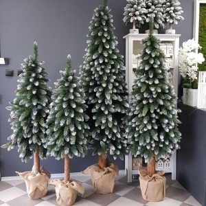 Choinka na pniu drzewko sosna Polski Producent Pinus glitter 240cm 