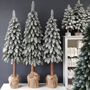 Choinka na pniu drzewko sosna Polski Producent Pinus snow 210cm