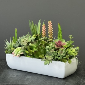 Sukulenty kaktusy donica podłużna Dolce biała E 33cm