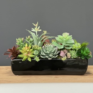 Sukulenty kaktusy donica podłużna Dolce czarna B 33cm