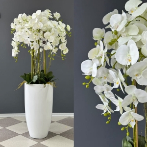 Kompozycja biały storczyk orchidea donica white Andrea new