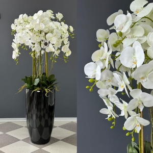 Kompozycja biały storczyk orchidea donica black Andrea new