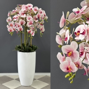Kompozycja biały storczyk orchidea donica white Andrea light pink