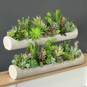 Sukulenty kaktusy kompozycja rynna Cindy 60cm