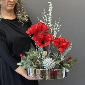 Amarylis czerwony kompozycja stroik donica silver Fairy