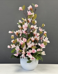 Magnolia magnolie kompozycja wiosenna Luiza j. róż white