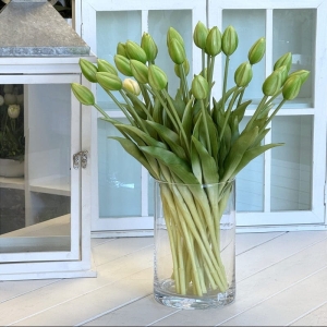 Tulipan zamknięty pąk natural touch premium zielony