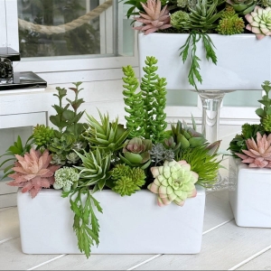 Sukulenty kaktusy donica podłużna Grace biała 26cm wz.13